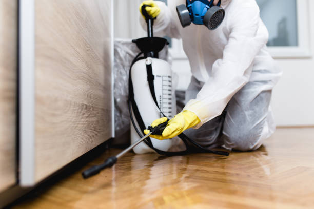 Best Pest Prevention Services  in Orange Lake, NY