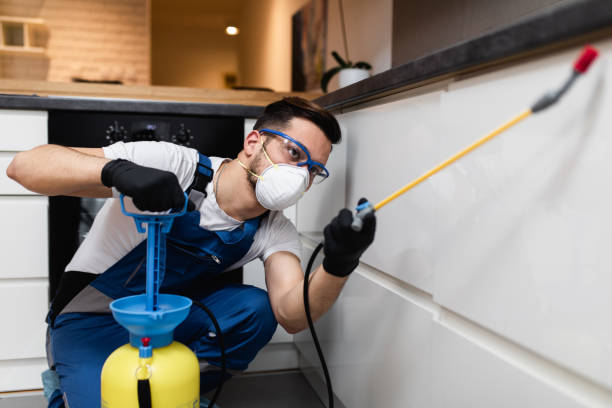 Best Affordable Pest Control Services  in Orange Lake, NY