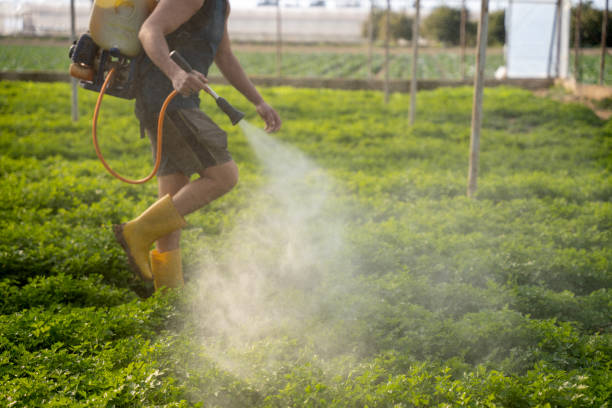 Best Pest Removal Services  in Orange Lake, NY