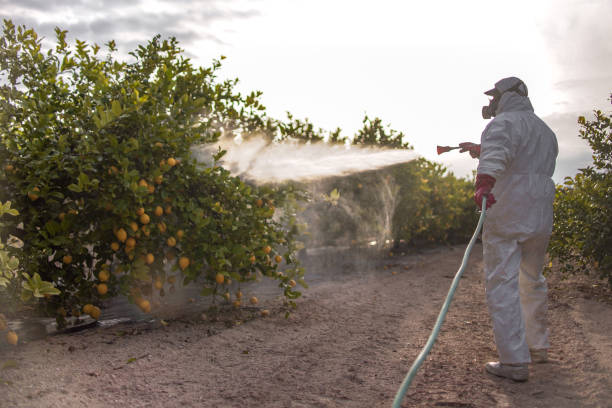 Best Cockroach Control Services  in Orange Lake, NY