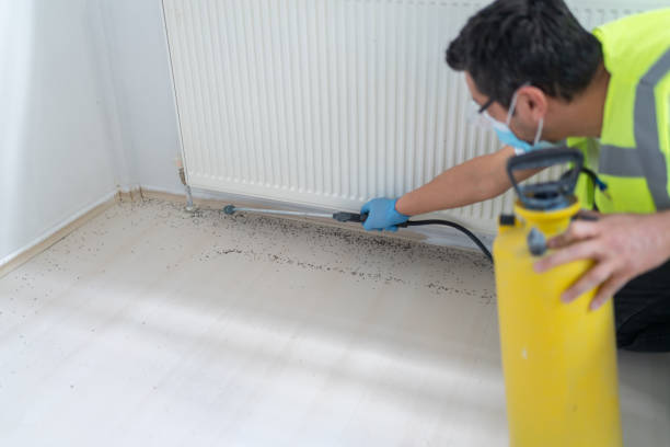 Best Flea Control Services  in Orange Lake, NY