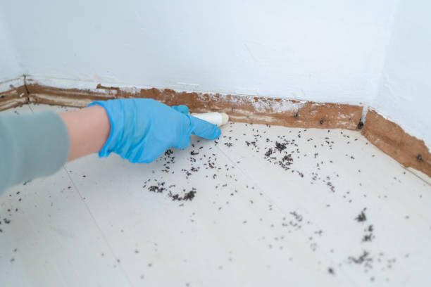 Best Commercial Pest Control Services  in Orange Lake, NY