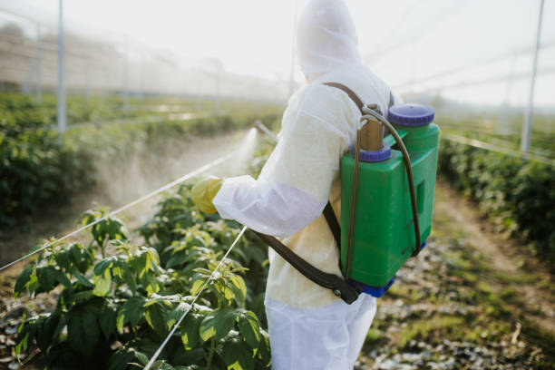 Best Best Pest Control Companies  in Orange Lake, NY